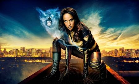Vixen arrow image