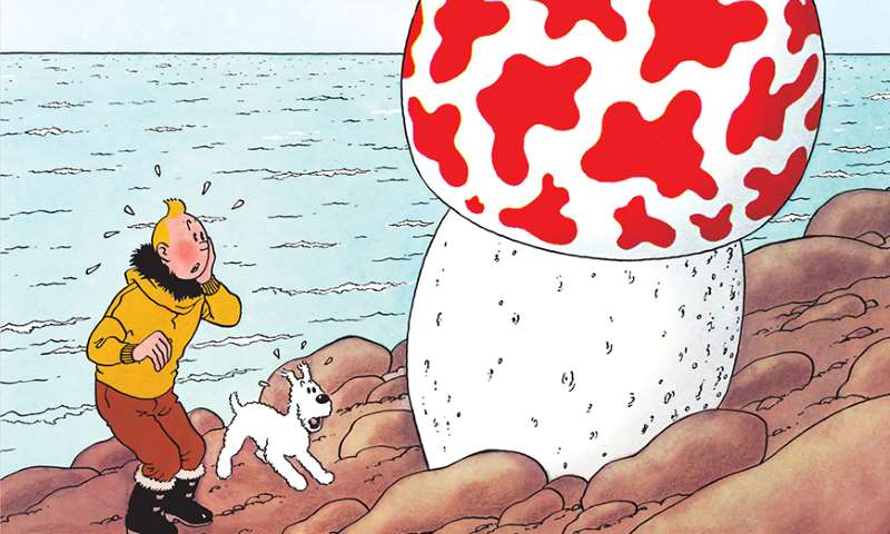 Tintin Stella Misteriosa home