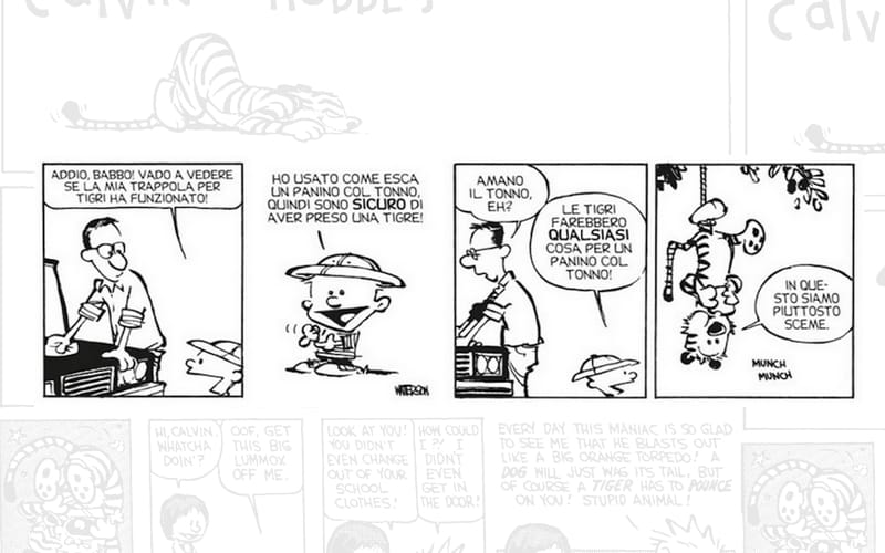 Calvin e Hobbes