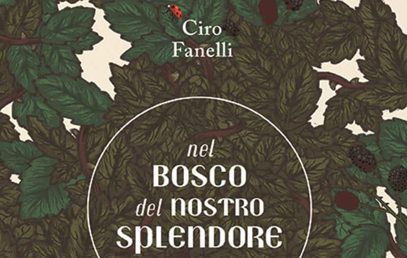 Fanelli home
