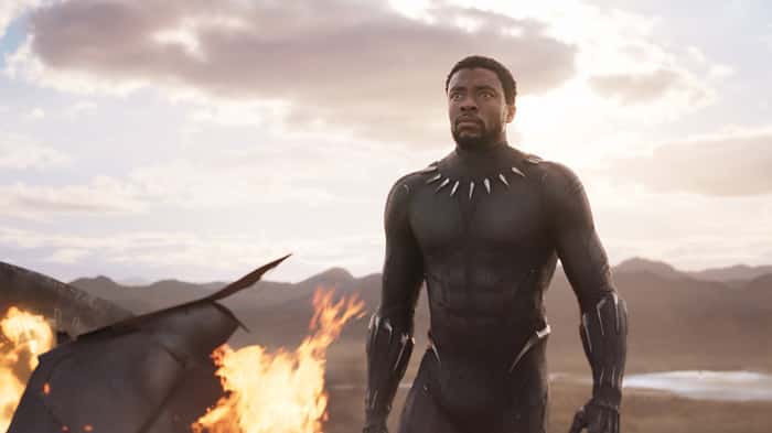 Black panther1
