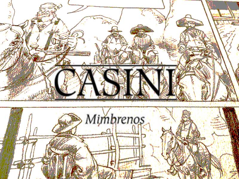 Casini quinta intervista