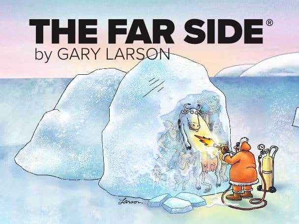 Thefarside