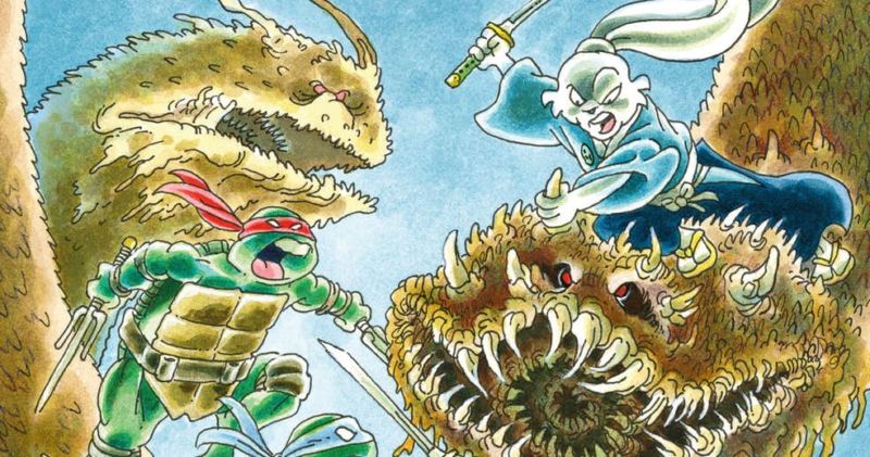 Usagi turtles evid