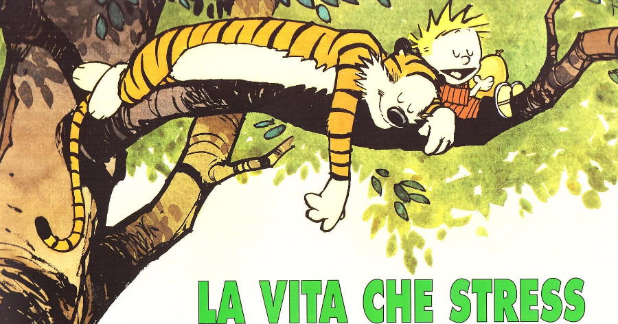 Calvin e hobbes bill watterson