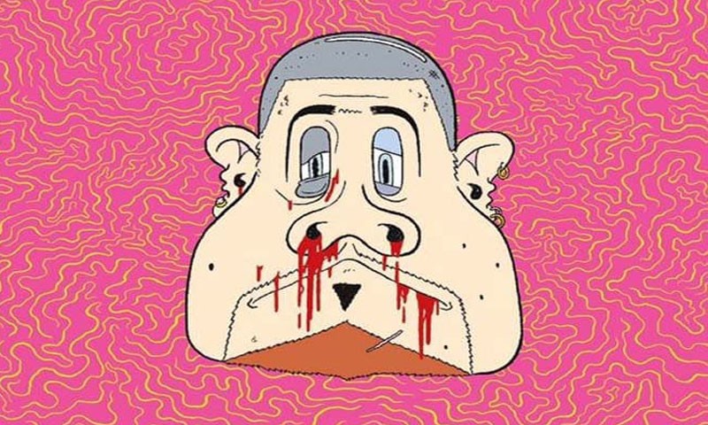 Non mi posso lamentare cover