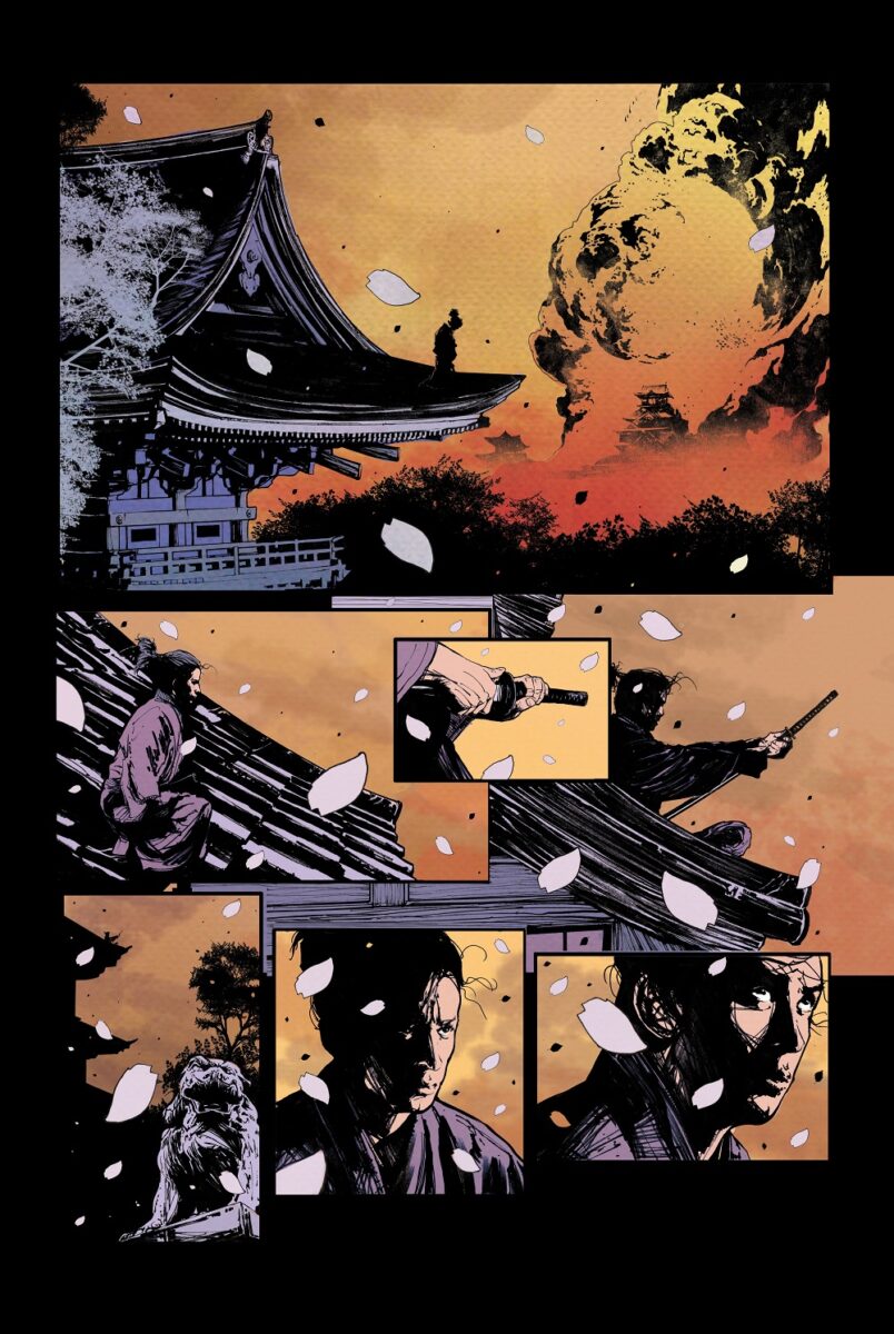 11