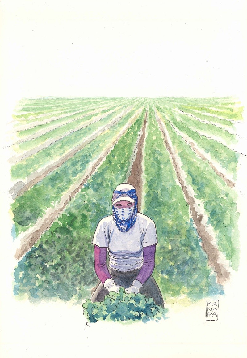 Scanned by Scan2Net