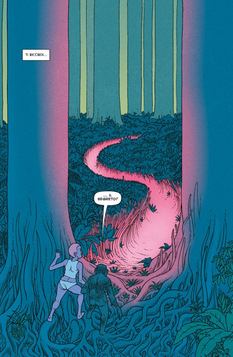 The Surface