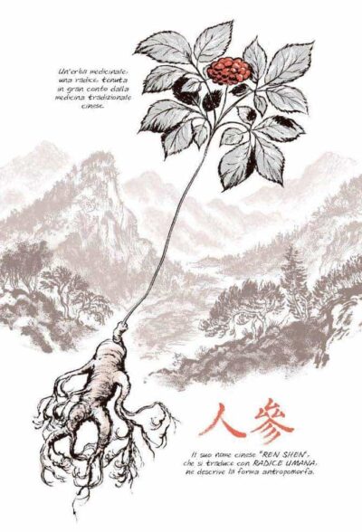 ginseng-roots-craig-thompson-06