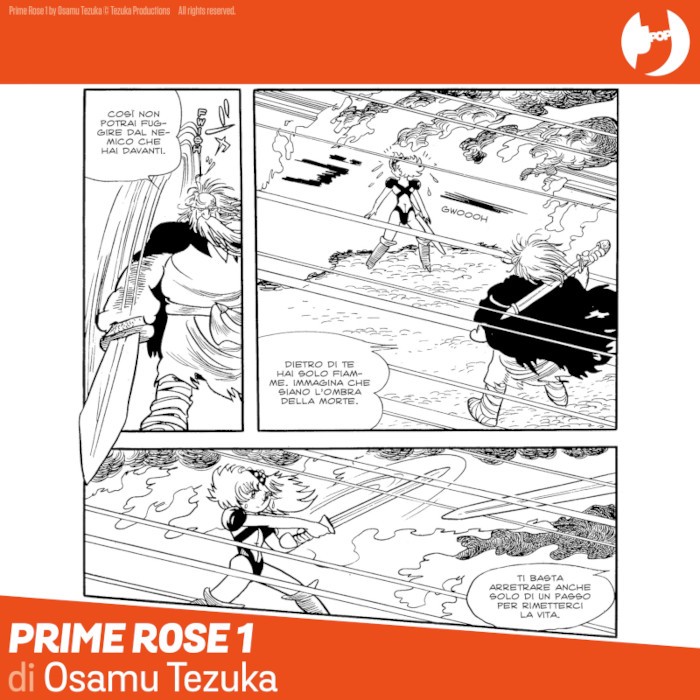 PRIME ROSE 1 interni