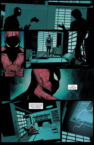Spider-Man_Checchetto