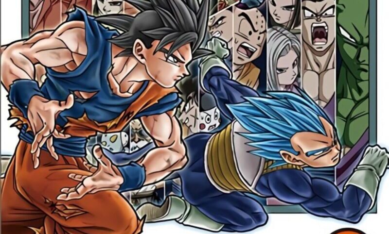 Dragon ball super cover13 evid