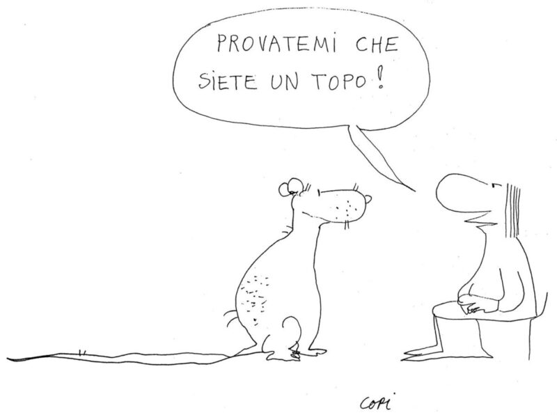 vignetta