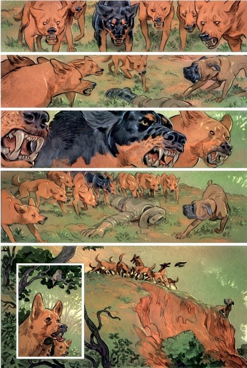 Love il cane 2