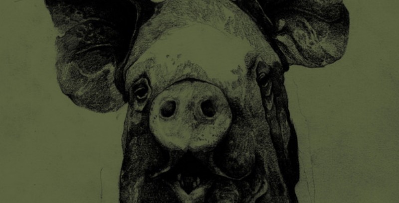 Battesimo porco home