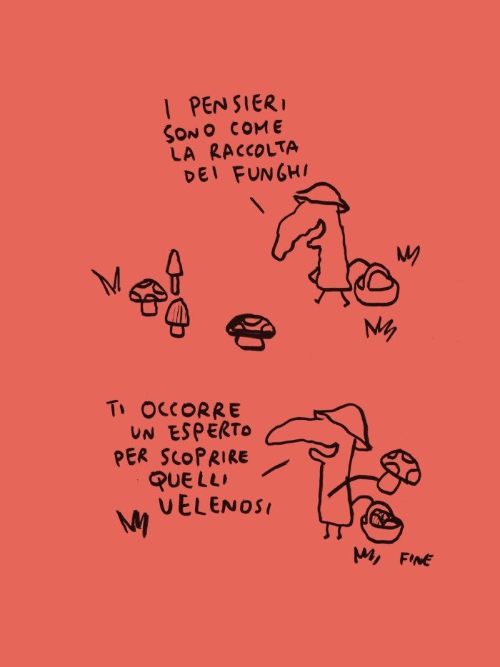maicolemirco