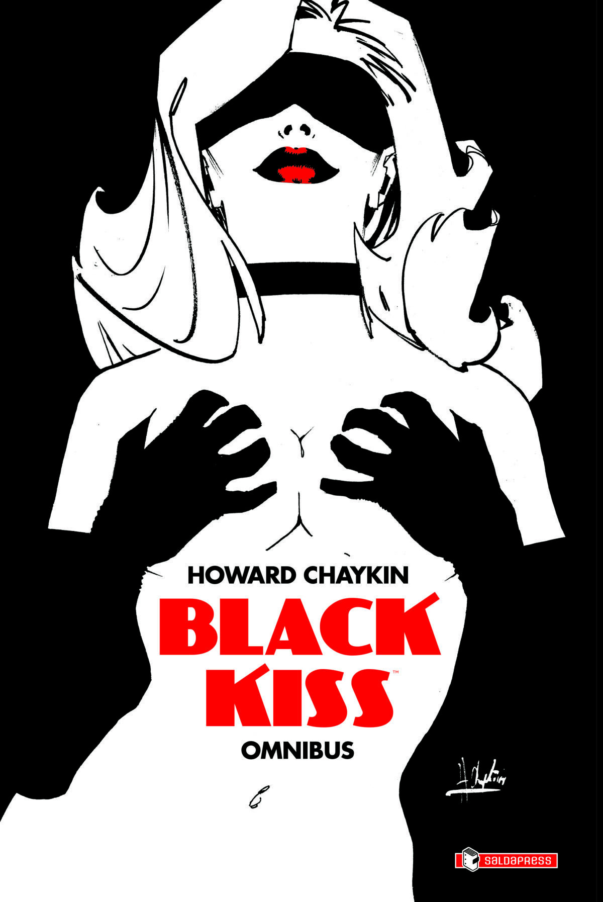 Black Kiss omnibus cover DEF