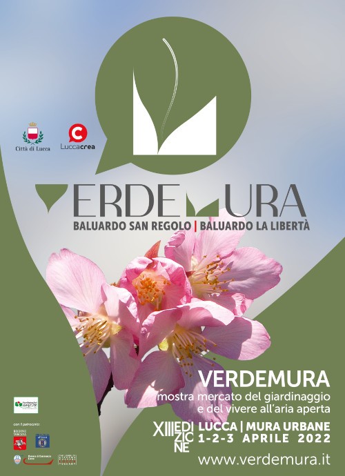 1 4 LOC 32x45 2022 2a VM_WEB