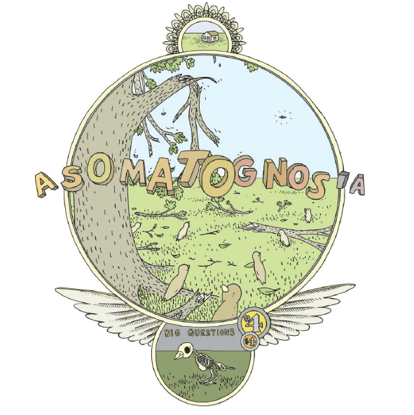 asomatognosia