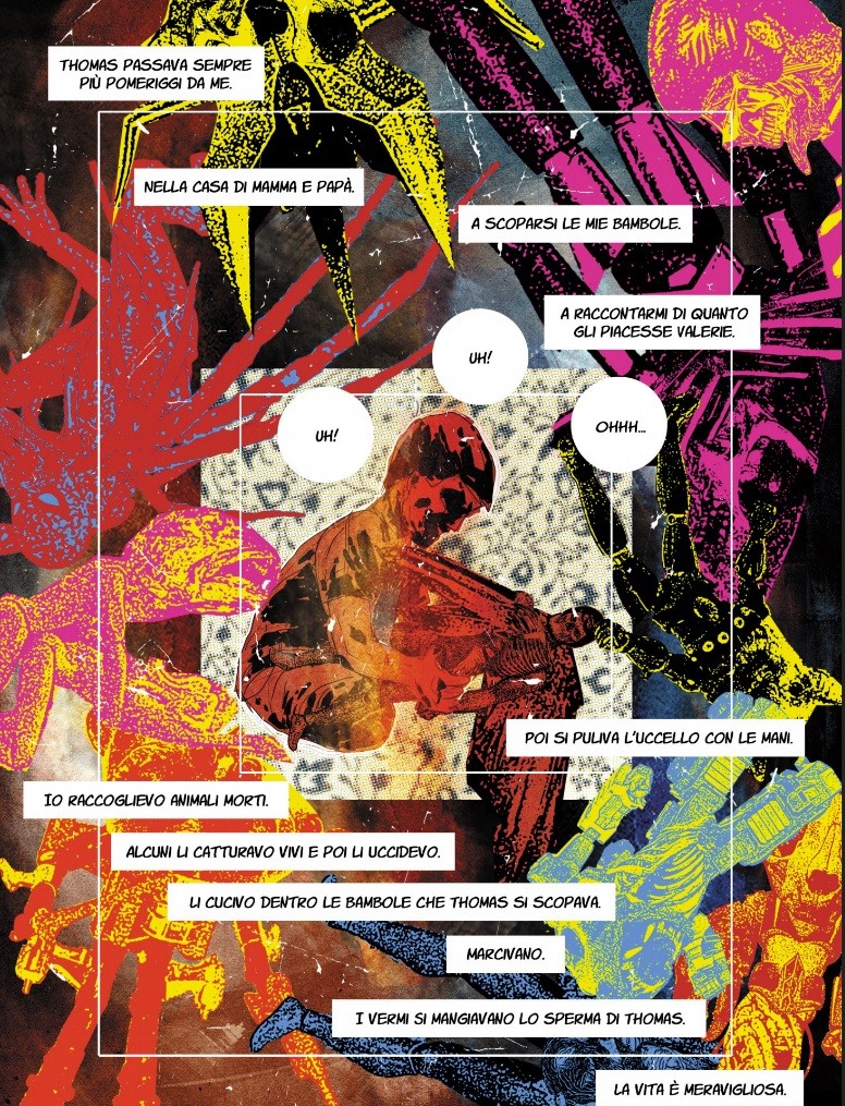 Immagine 3