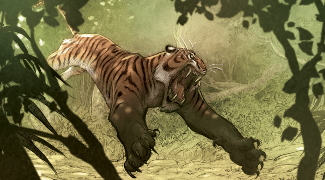 SaldaPress Love la tigre doppia