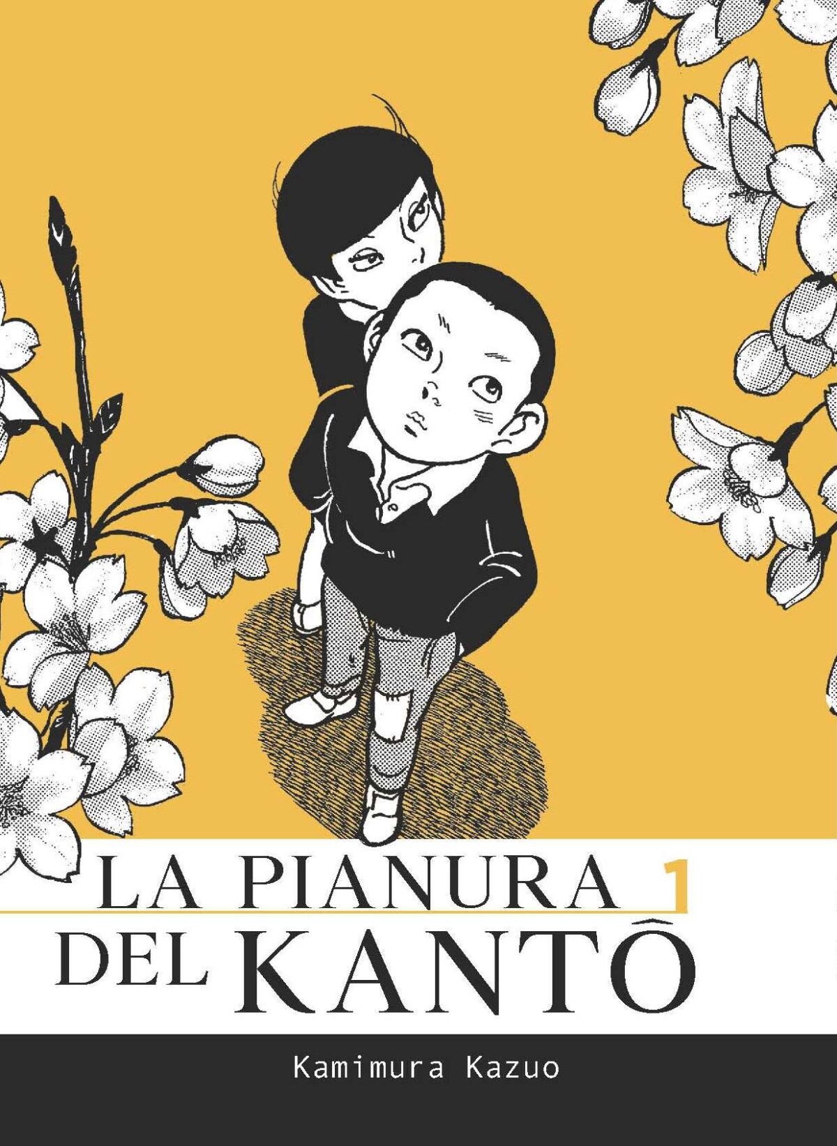 Copertina de "La pianura del Kanto" vol.1