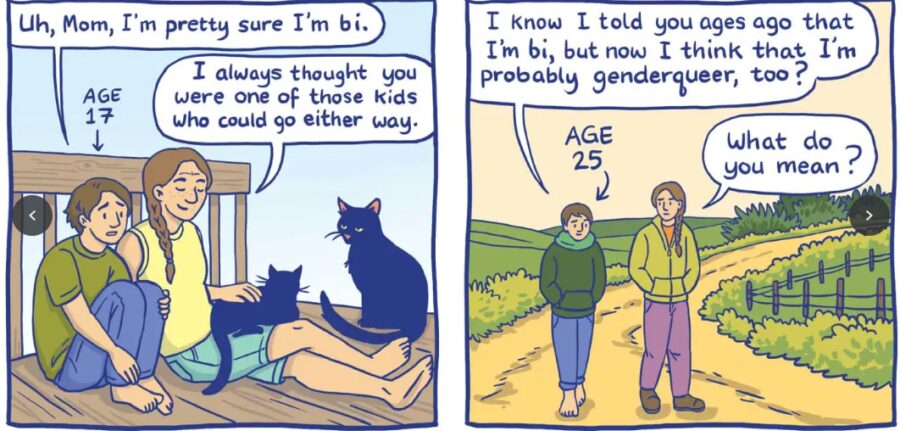 Gender Queer - Maia Kobabe
