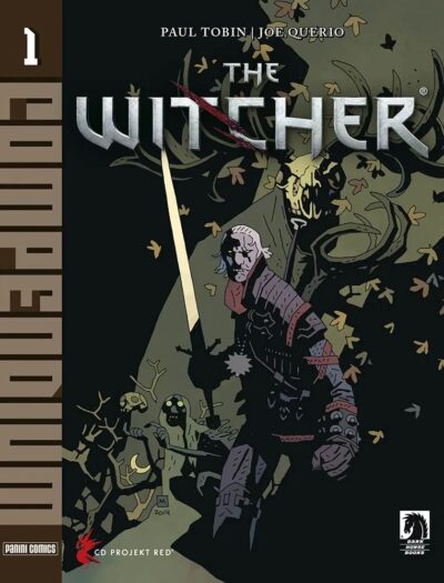 the witcher comp cov