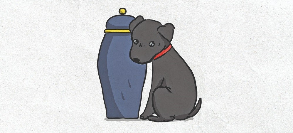 Copertina Cenere Appunti Da Un Lutto E