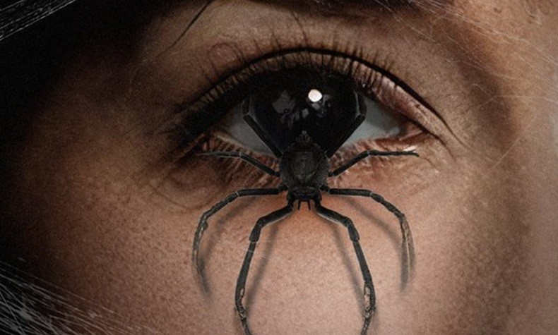 Madameweb