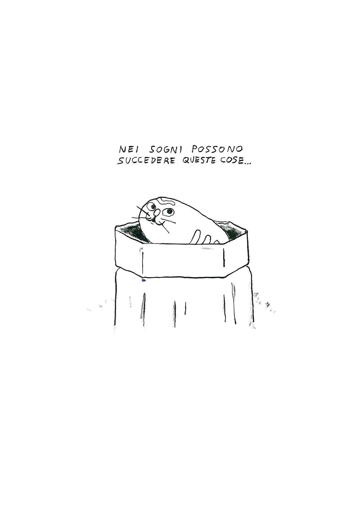 Pagine Da Juta Gatto Pernucci Interni Alta Ok Def Pagina 5