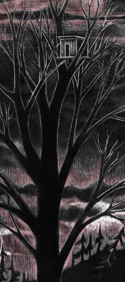 Niger Albero
