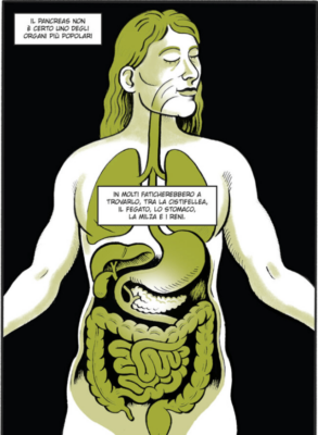 Pancreas 1