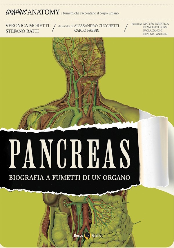Pancreas Coverweb