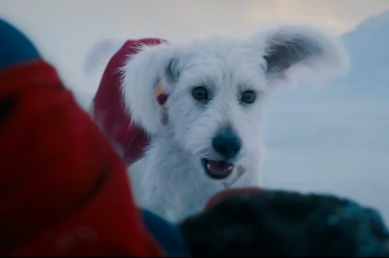 Krypto