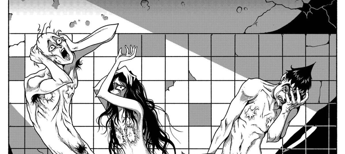 Immagine copertina
