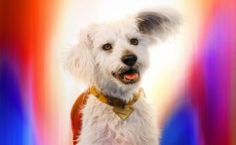 Krypto