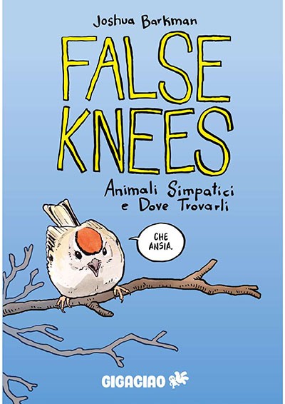 False knees cover