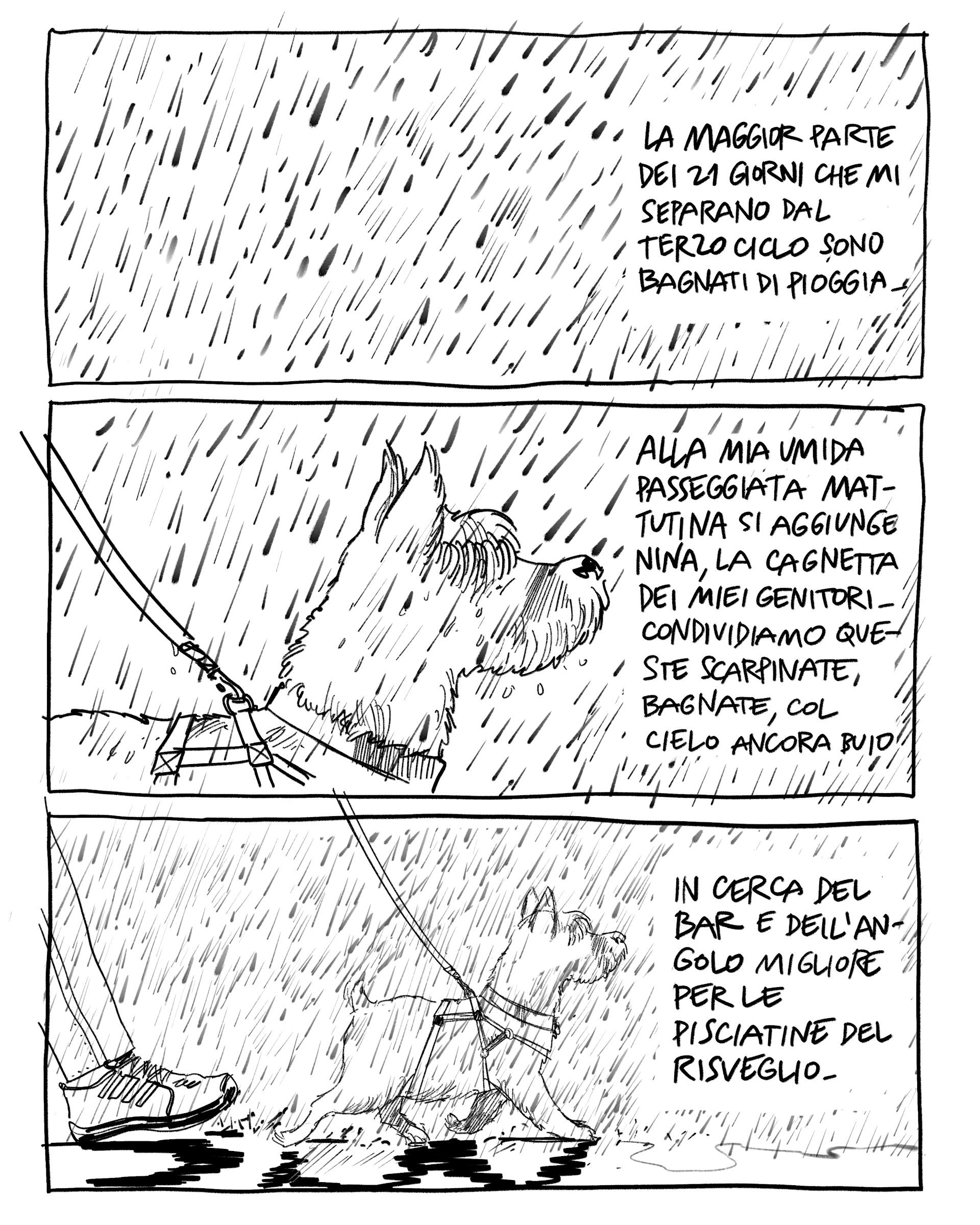 Comestai12