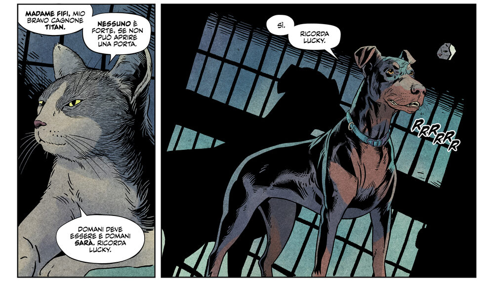 Animal pound p14