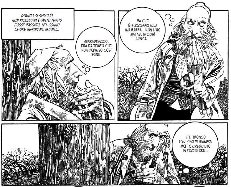Toppi Toscana4