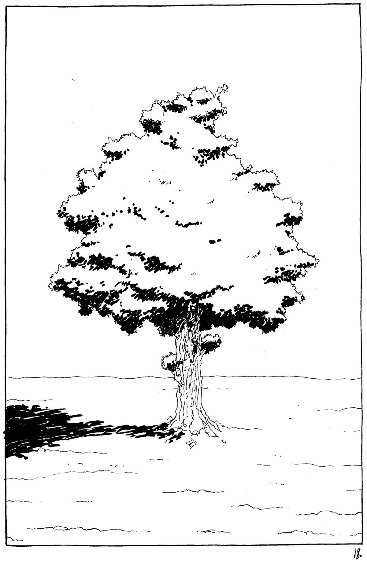 Y18