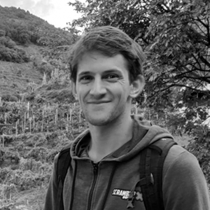 Matteo Pellegrini