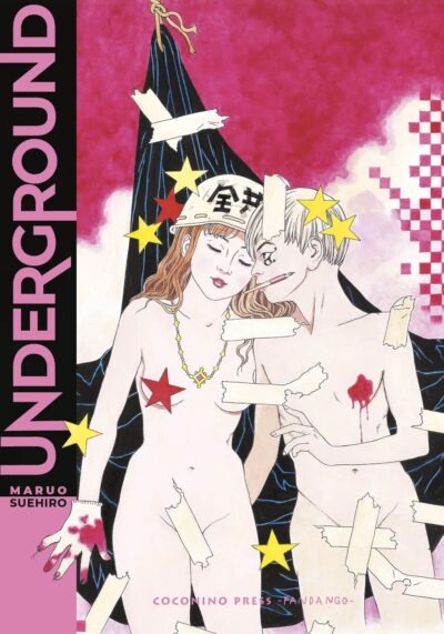 Underground cover