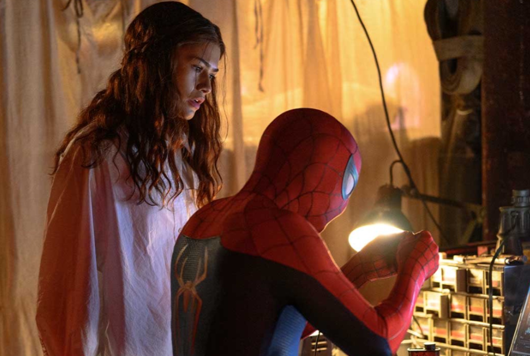Brandnewday mj spiderman