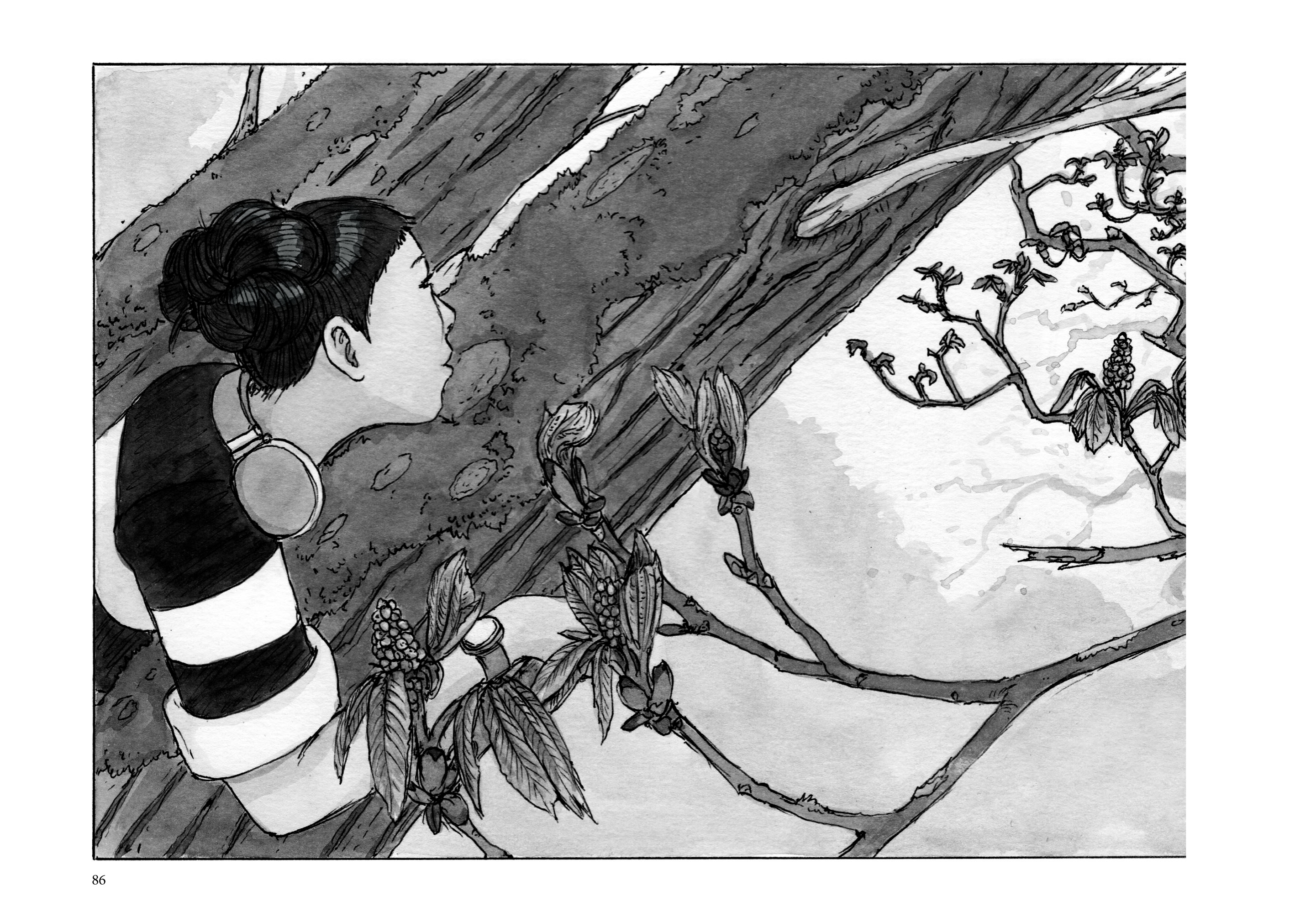 Il bosco segreto p86